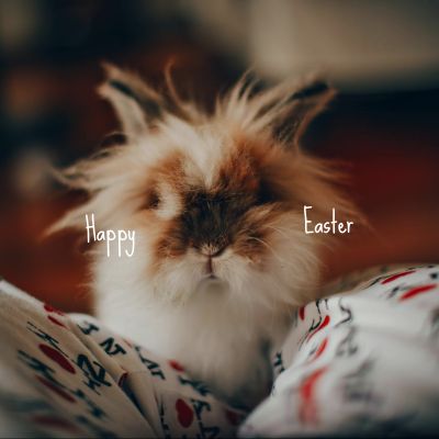 Happy Easter Occasions Instagram Post Template