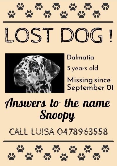 Lost Dog — Animals Poster Template (XuH5ln) — 